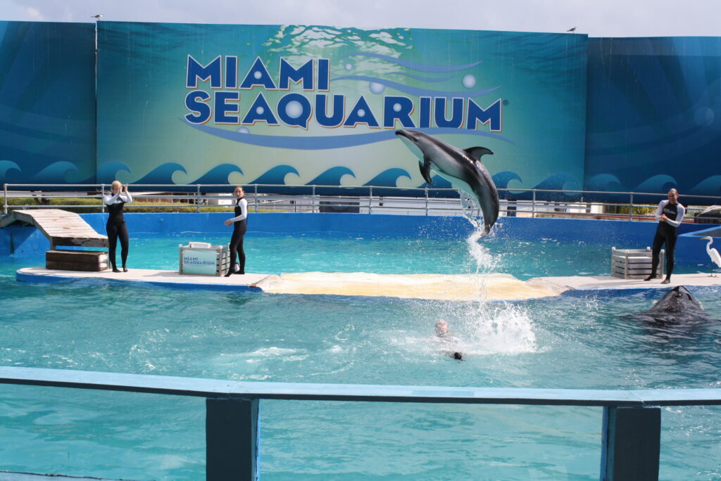 Miami Seaquarium