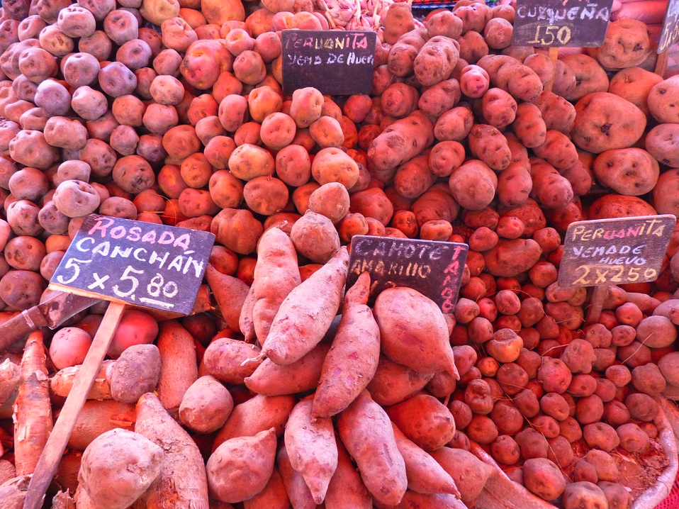 papas nativas, papas de Perú, mercado de papa Perú, cocina peruana